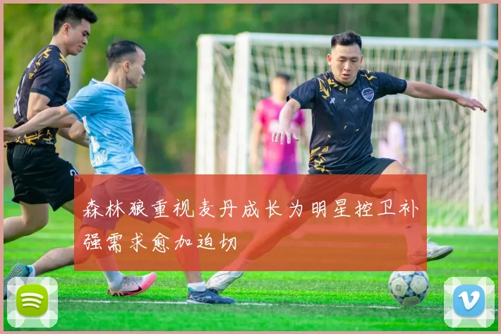 森林狼重视麦丹成长为明星控卫补强需求愈加迫切