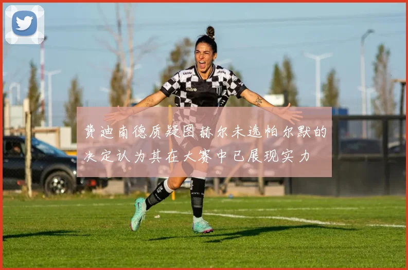费迪南德质疑图赫尔未选帕尔默的决定认为其在大赛中已展现实力